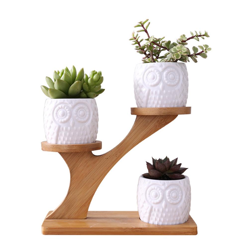 Simple White Succulent Plant Flower Pot