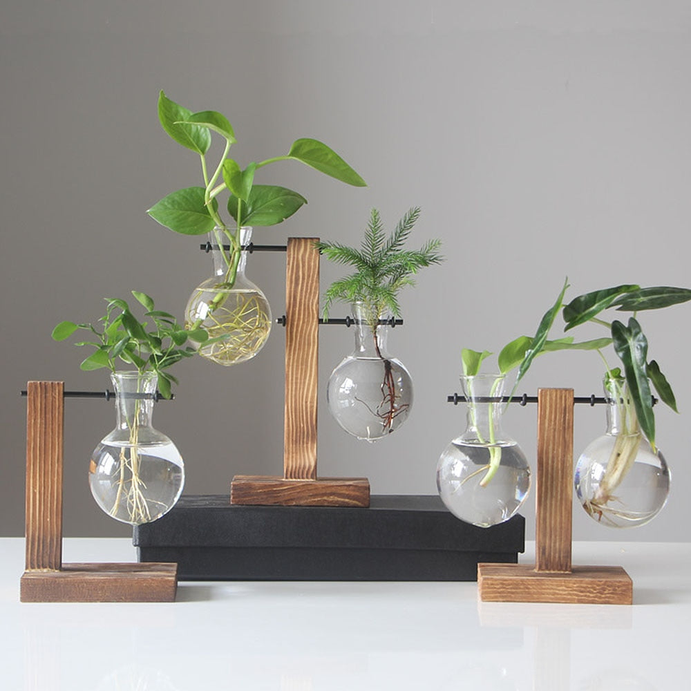 Nordic Simple Hydroponic Plant Vases Vintage Flower Pot
