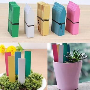 100Pcs Tree Fruits Seedling Garden Flower Pot Plastic